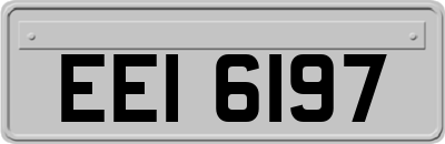 EEI6197