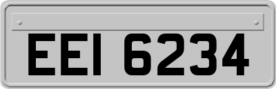 EEI6234