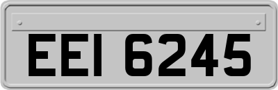 EEI6245