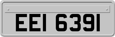 EEI6391