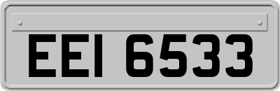 EEI6533