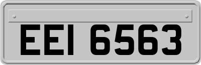 EEI6563