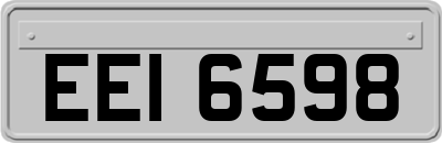 EEI6598