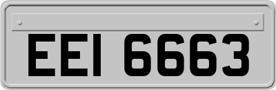EEI6663