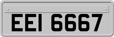 EEI6667