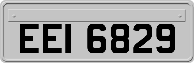 EEI6829