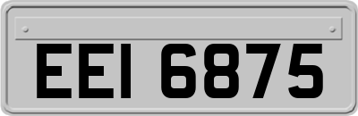 EEI6875