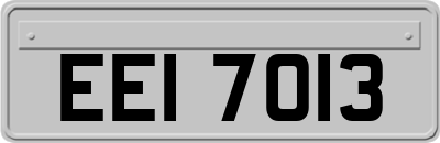 EEI7013