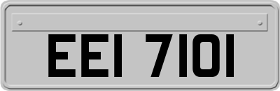 EEI7101