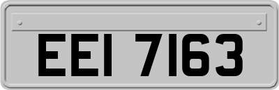 EEI7163