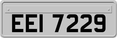 EEI7229