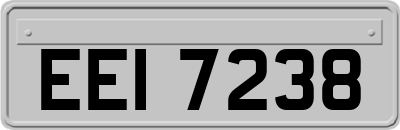 EEI7238