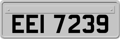 EEI7239