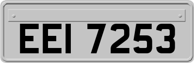 EEI7253