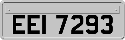 EEI7293