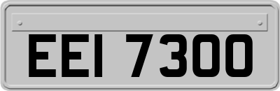 EEI7300