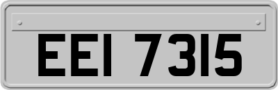 EEI7315