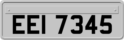 EEI7345