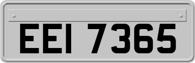 EEI7365