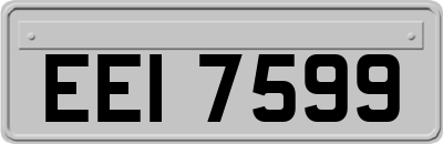 EEI7599