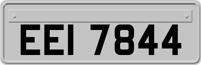 EEI7844