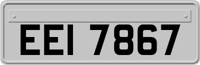 EEI7867
