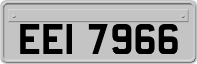 EEI7966
