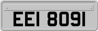 EEI8091