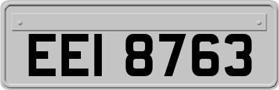 EEI8763