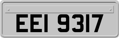 EEI9317