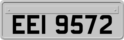 EEI9572