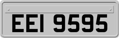 EEI9595