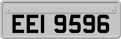 EEI9596