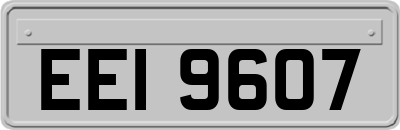 EEI9607
