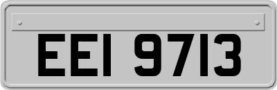EEI9713