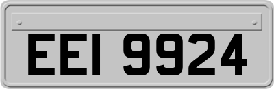EEI9924
