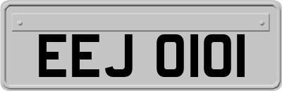 EEJ0101