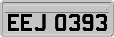 EEJ0393