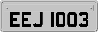 EEJ1003