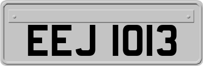 EEJ1013