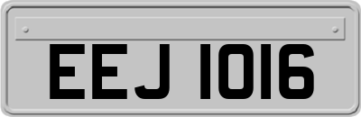 EEJ1016