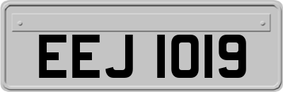 EEJ1019
