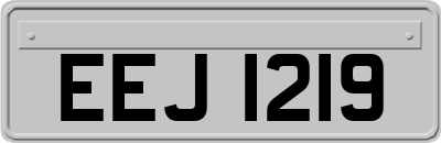 EEJ1219