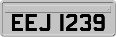 EEJ1239