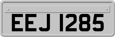 EEJ1285