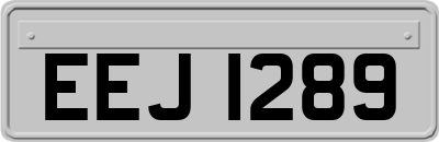 EEJ1289