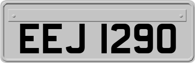 EEJ1290