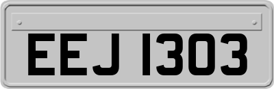EEJ1303