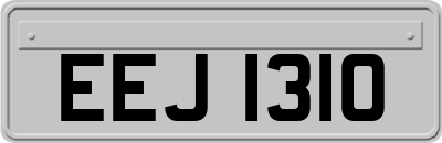 EEJ1310