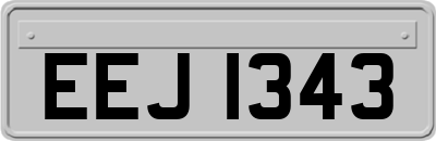 EEJ1343